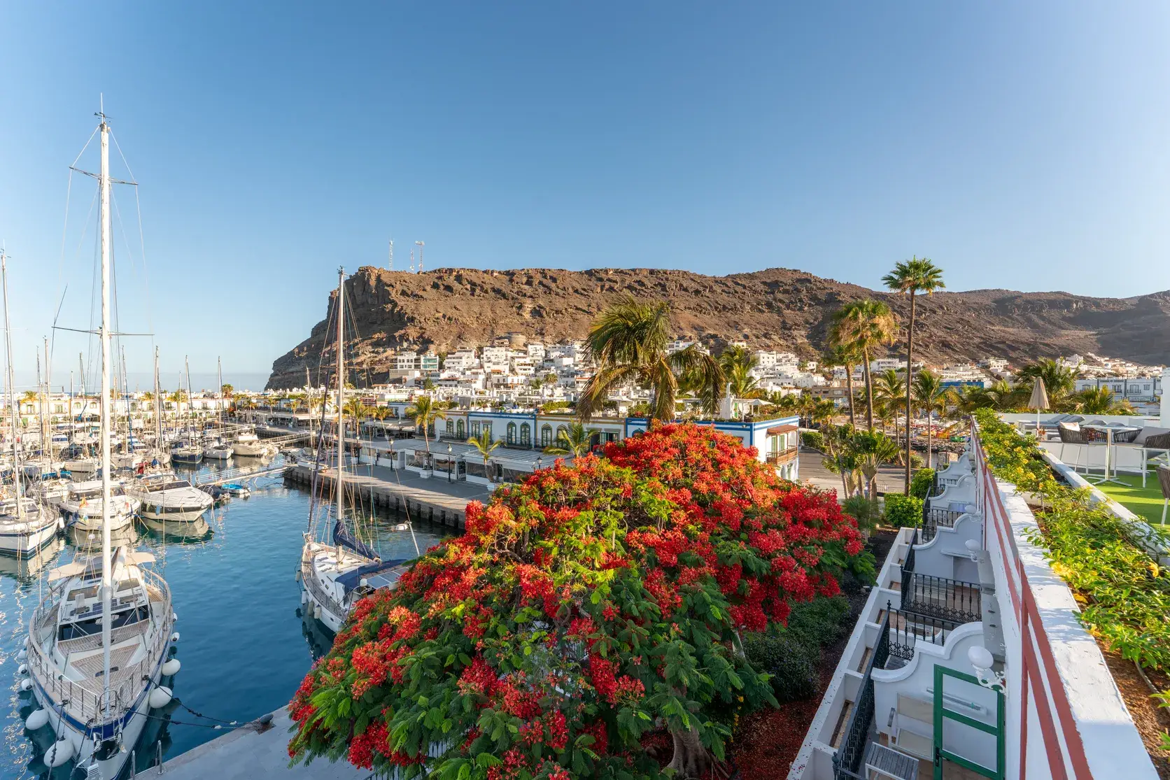 Hotel LIVVO Puerto de Mogán — vista 2