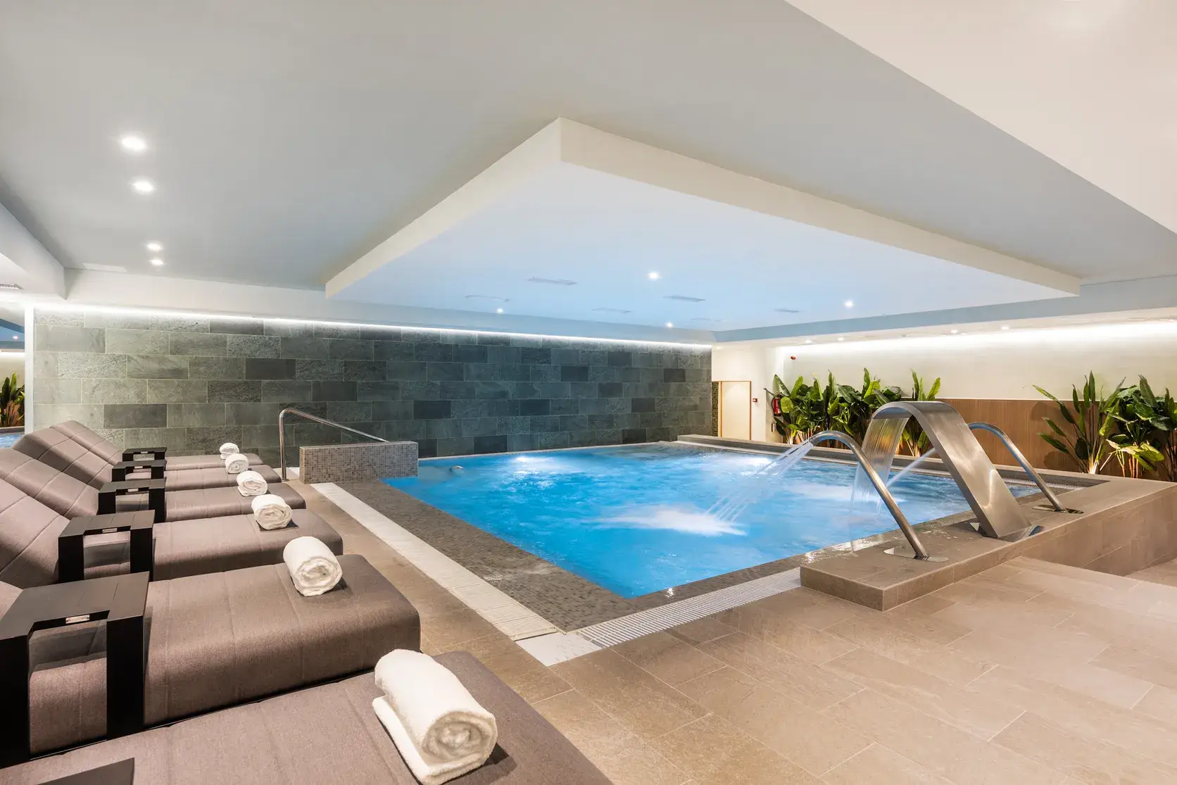 Wellness 1